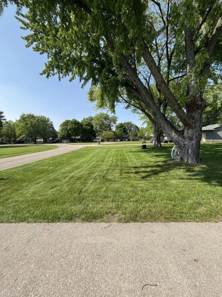 Affordable yard cleanup service experts serving Goshen, IN - Hectors Lawn Care