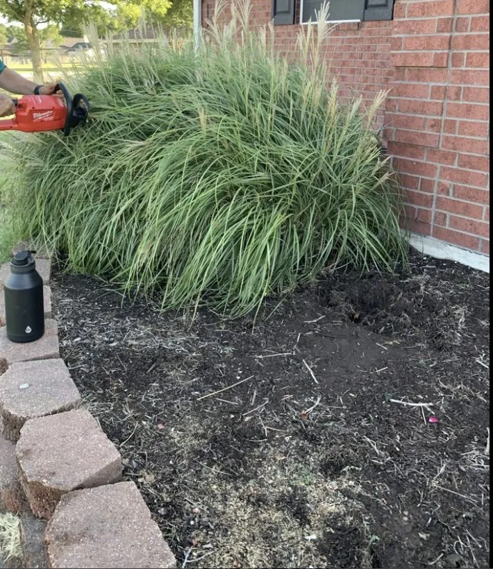 Expert yard cleanup service in Brownsboro, TX by Hector’s Lawn Care Services