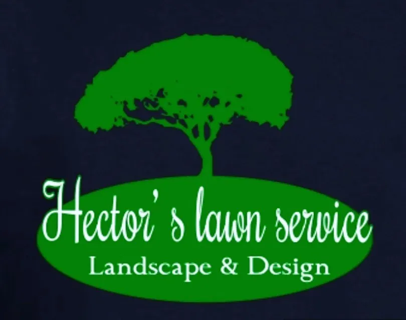 Trusted yard maintenance in Dallas, TX by Hector's lawn service & landscape