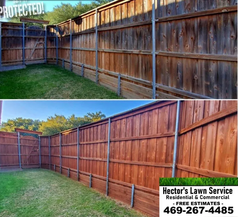 Expert lawn care service for residential properties across Dallas, TX - Hector's lawn service & landscape