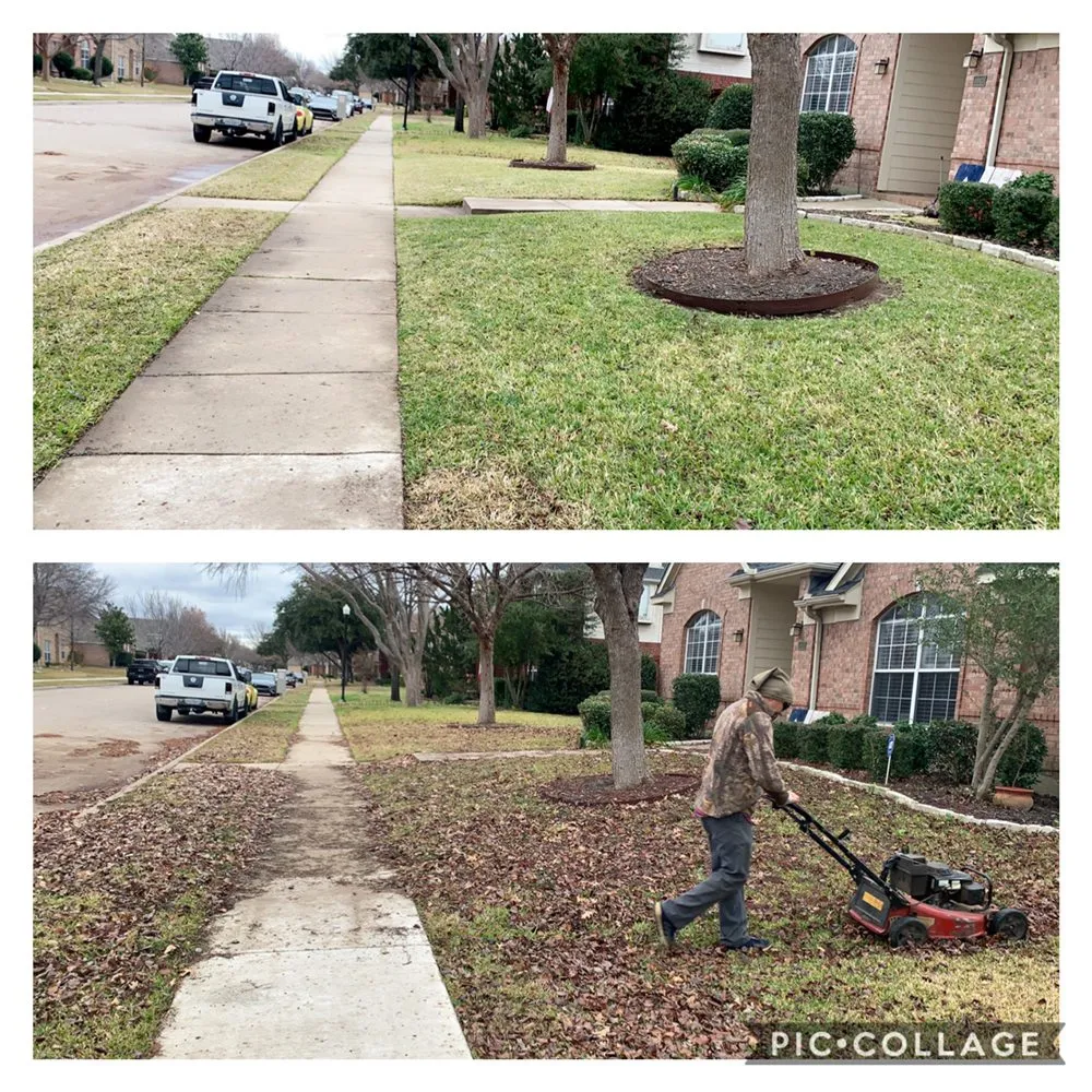 Trusted yard cleanup service with custom design in Dallas, TX by Hector's lawn service & landscape