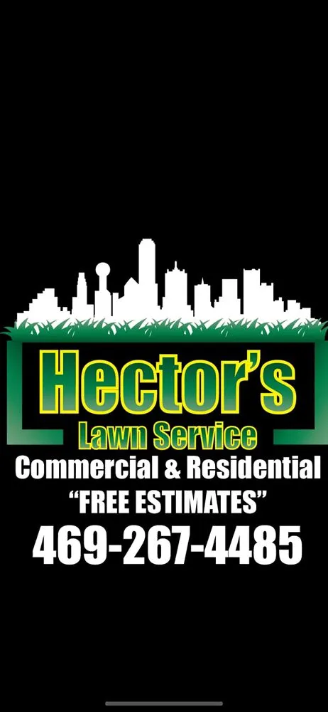 Professional yard cleanup service in Dallas, TX by Hector's lawn service & landscape