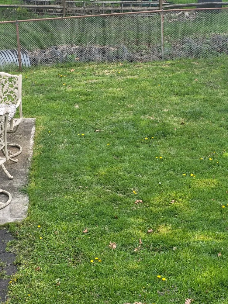 Professional landscape design for homes in Quakertown, PA by HE&D Lawn Care Service Grassratts