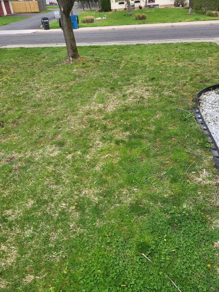 Custom garden landscaping for beautiful yards across Quakertown, PA - HE&D Lawn Care Service Grassratts