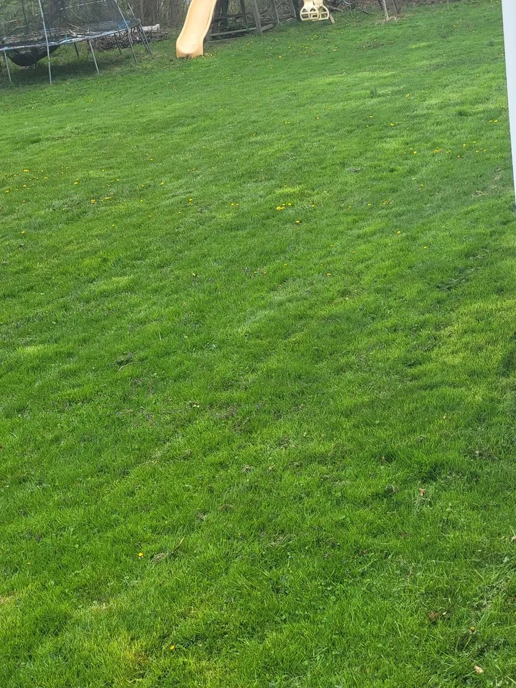 Affordable landscaping services for beautiful yards in Quakertown, PA by HE&D Lawn Care Service Grassratts