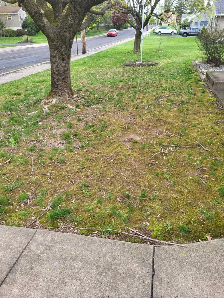 Affordable lawn mowing service experts serving Quakertown, PA - HE&D Lawn Care Service Grassratts