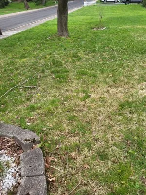 HE&D Lawn Care Service Grassratts Logo