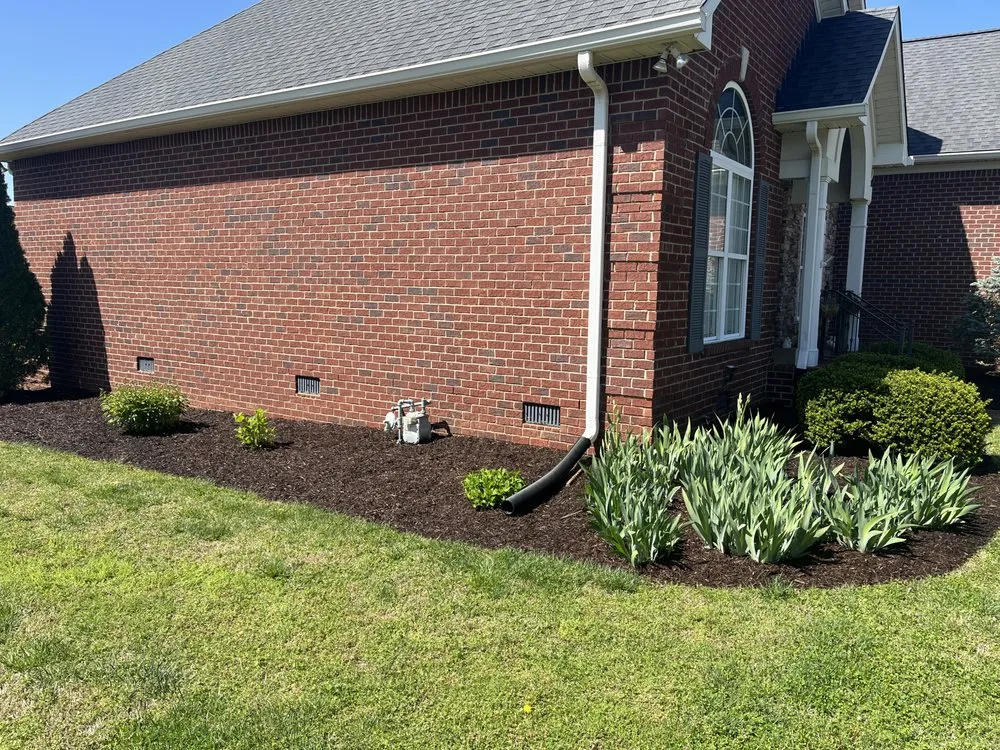 Expert yard cleanup service for outdoor upgrades across Green Hill, TN - Hedden's Lawn Care