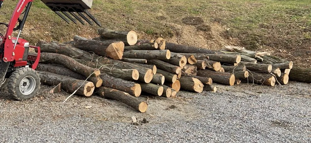 Professional residential landscaping experts serving Danville, PA - Heddings Lawn Care