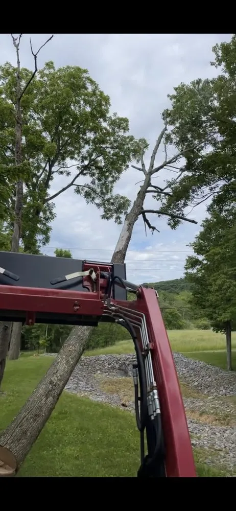 Expert landscape design experts serving Danville, PA - Heddings Lawn Care