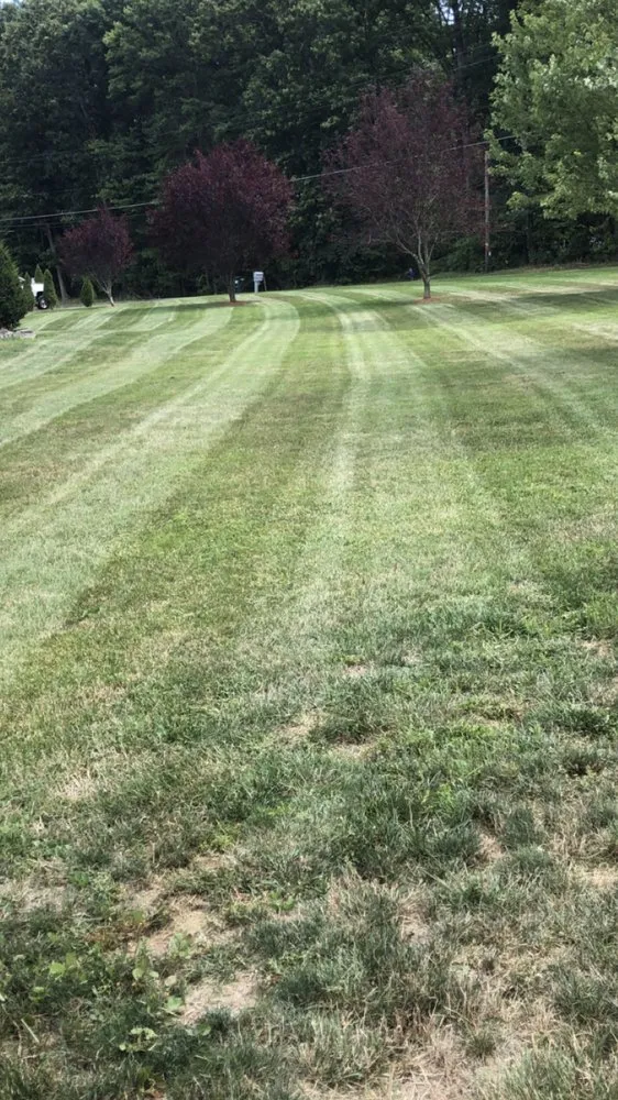 Reliable landscape design in Danville, PA - Heddings Lawn Care