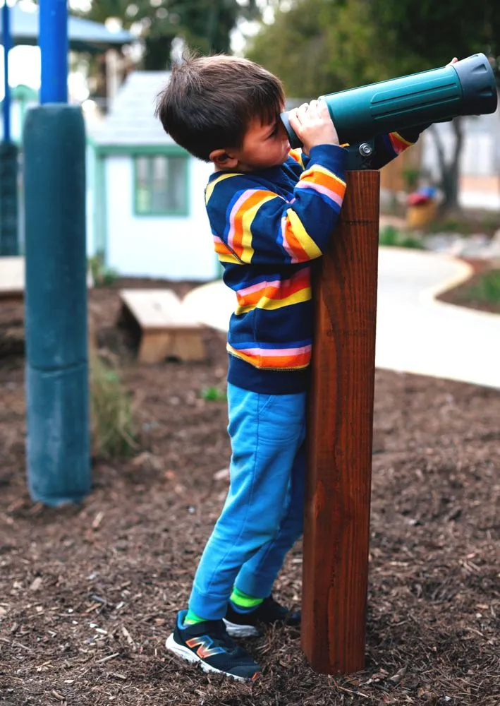 Custom landscape design in San Diego, CA by Hedge Fun Landscape