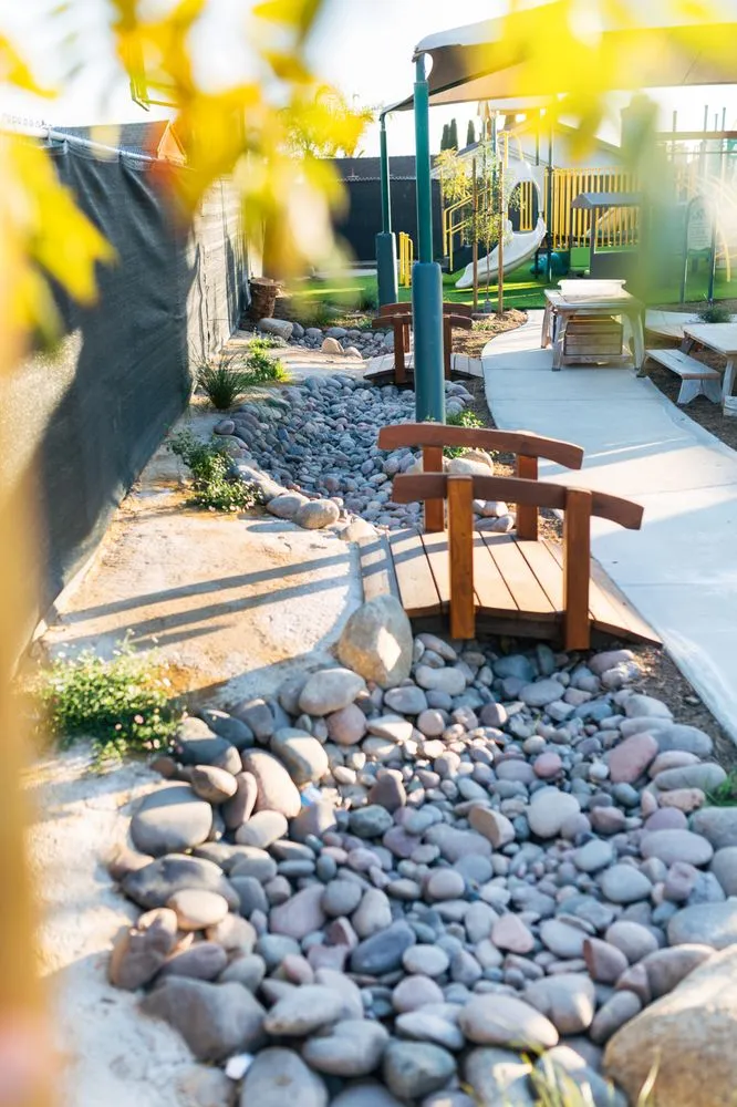 Reliable lawn care service in San Diego, CA - Hedge Fun Landscape