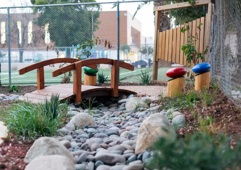 Professional landscape design experts serving San Diego, CA - Hedge Fun Landscape