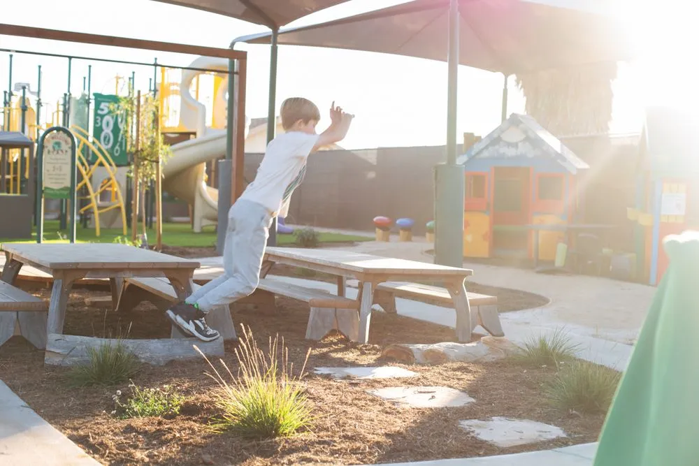 Top-rated yard cleanup service for homes across San Diego, CA - Hedge Fun Landscape