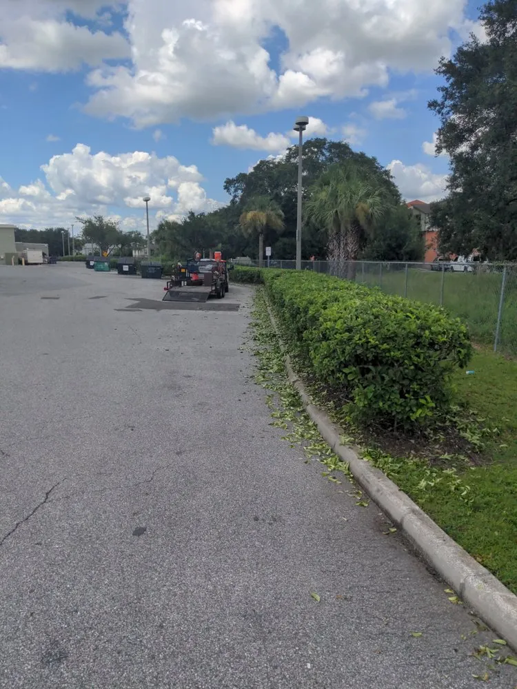Custom yard cleanup service experts serving Auburndale, FL - Hedge Hogs Total Property Management.