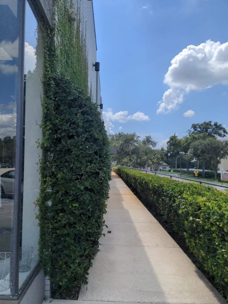 Reliable residential landscaping experts serving Auburndale, FL - Hedge Hogs Total Property Management.