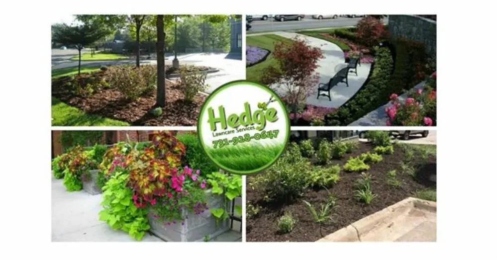 Affordable landscaping services in Henderson, TN by Hedge Lawncare Services