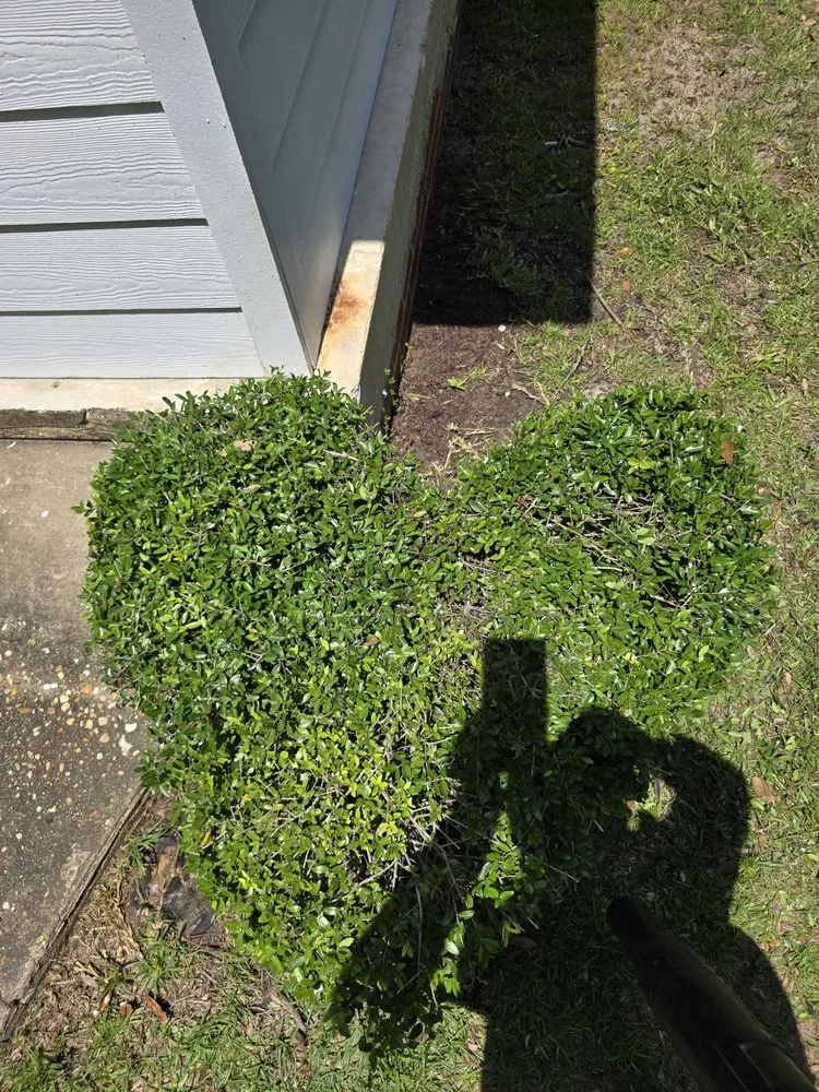 Affordable lawn mowing service in Albany, GA by Hedge N Edge Lawn