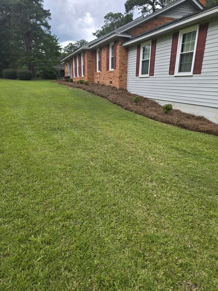 Top-rated landscape design experts serving Albany, GA - Hedge N Edge Lawn