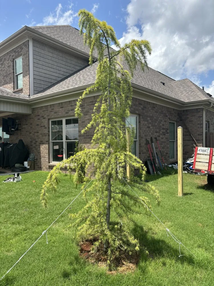 Expert lawn care service for homes across Birmingham, AL - Hedge of Protection Landscaping and Coatings LLC