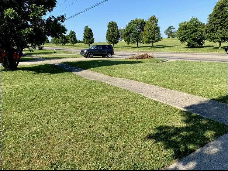 Top-rated yard cleanup service in Cincinnati, OH - Hedge Ups