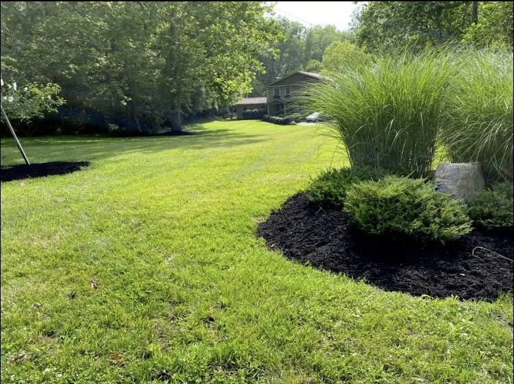 Affordable yard maintenance in Cincinnati, OH by Hedge Ups