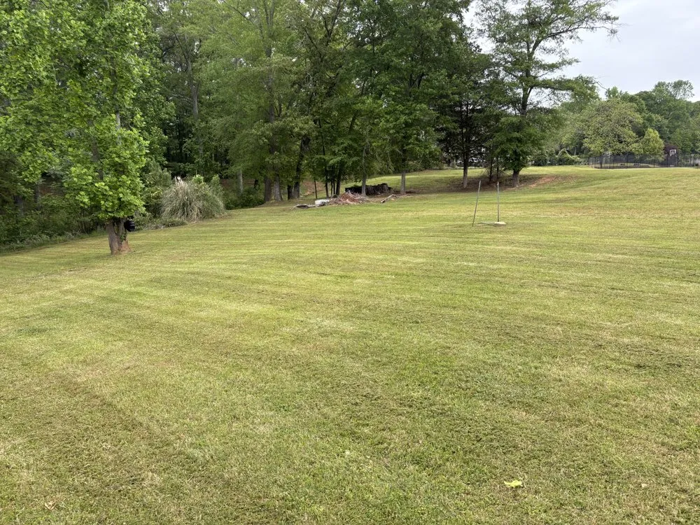 Expert landscape installation in Stockbridge, GA by Hedgecoth Property Solutions