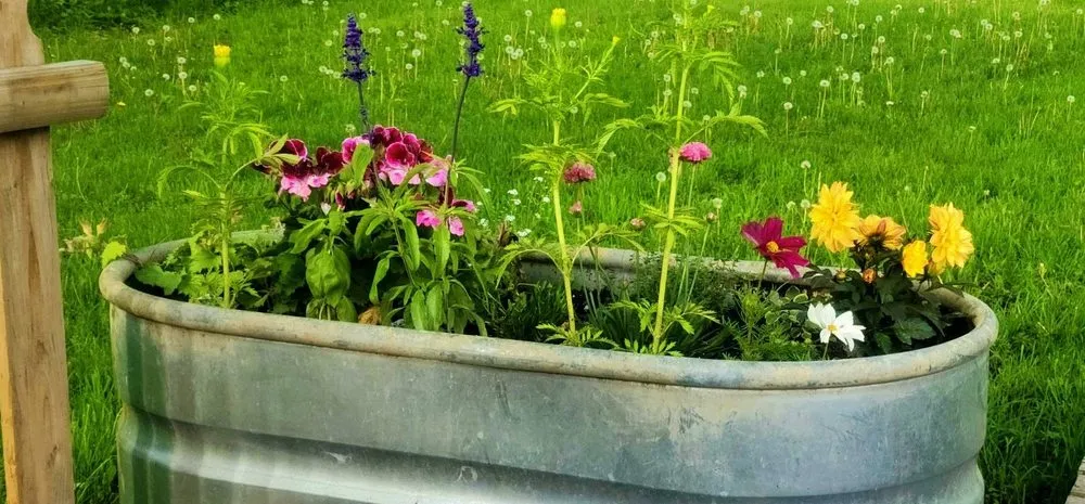 Affordable yard maintenance in Saint Albans City, VT by HedgeHog Landscaping