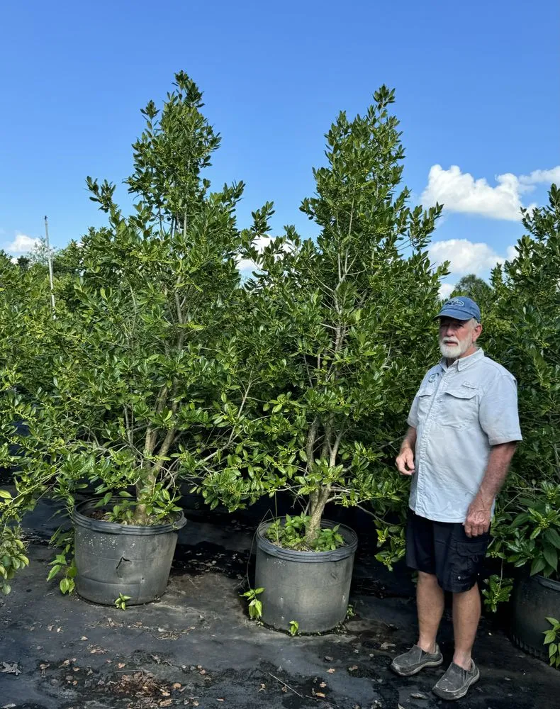 Trusted lawn mowing service in Fort Mill, SC - Hedgepeths Outdoor Services