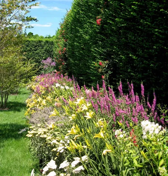 Professional lawn mowing service in East Hampton, NY by Hedges & Gardens