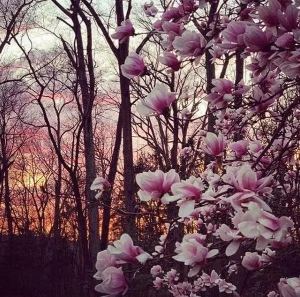 Top-rated residential landscaping experts serving East Hampton, NY - Hedges & Gardens