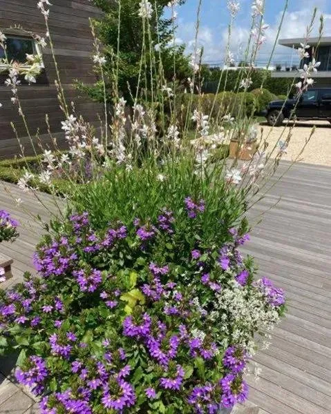 Trusted landscape installation in East Hampton, NY by Hedges & Gardens