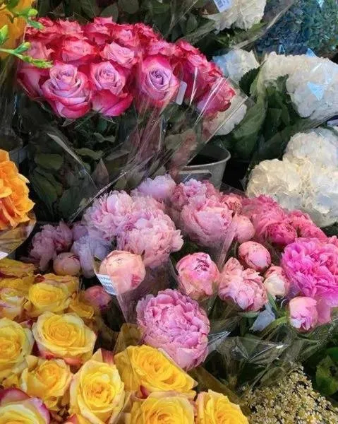 Affordable landscaping services experts serving East Hampton, NY - Hedges & Gardens