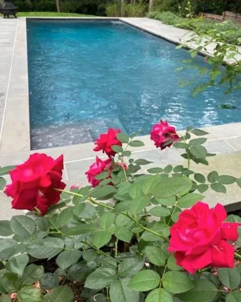 Local landscaping services in East Hampton, NY by Hedges & Gardens