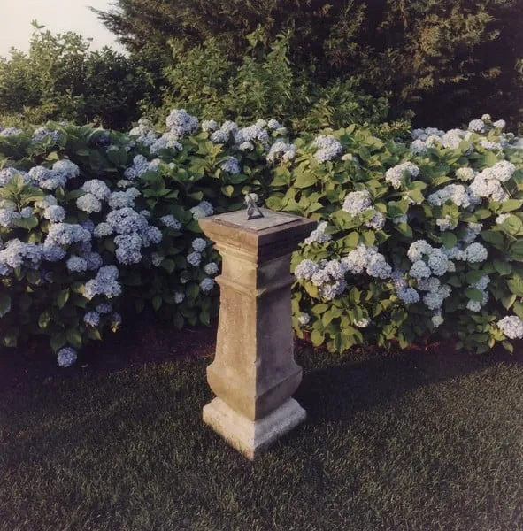 Local outdoor landscaping for outdoor upgrades in East Hampton, NY by Hedges & Gardens