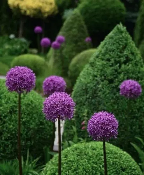 Top-rated lawn mowing service in East Hampton, NY - Hedges & Gardens