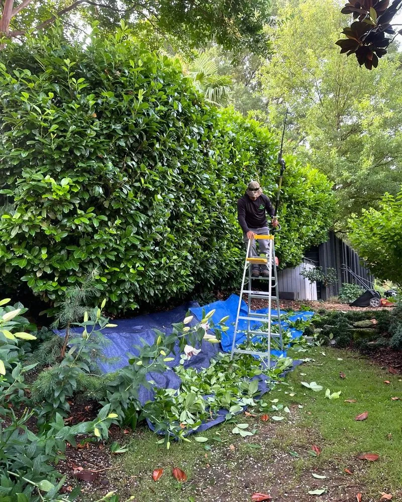 Custom yard cleanup service for outdoor upgrades across Atlanta, GA - Hedges and Edges Landscaping