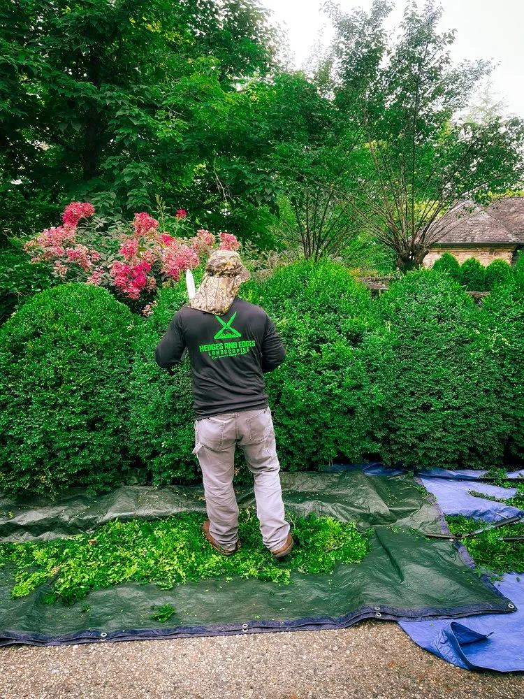 Local landscape design experts serving Atlanta, GA - Hedges and Edges Landscaping