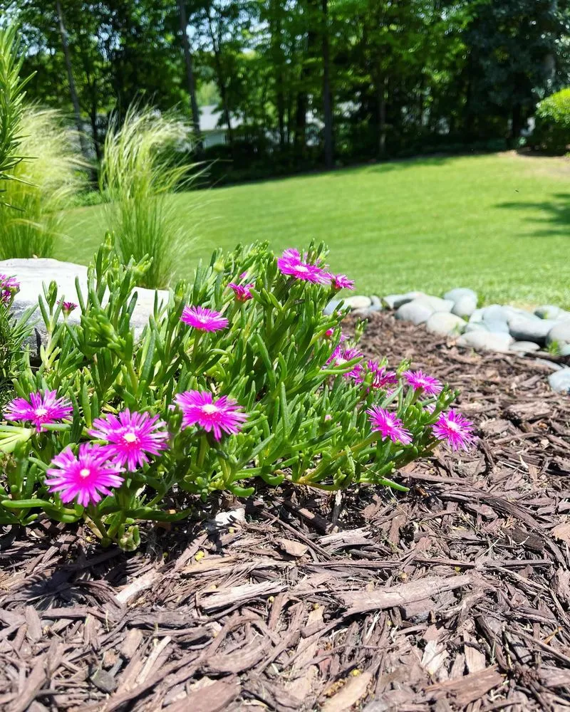 Custom residential landscaping with custom design across Atlanta, GA - Hedges and Edges Landscaping