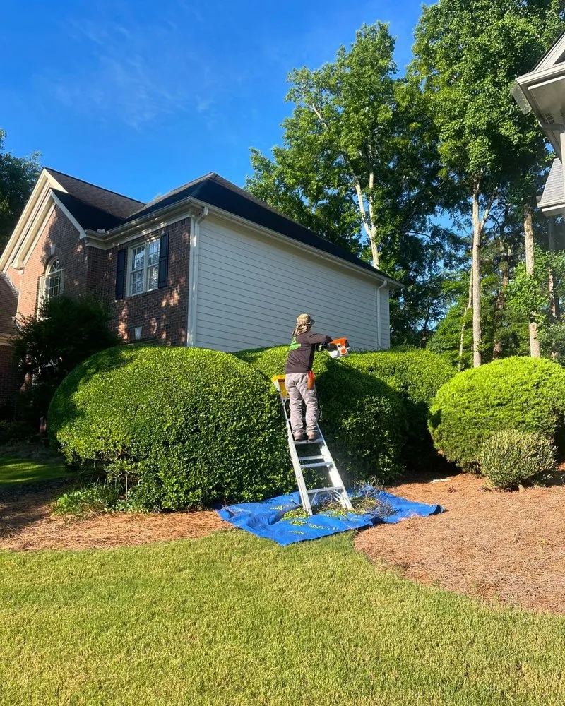 Top-rated landscape design in Atlanta, GA - Hedges and Edges Landscaping