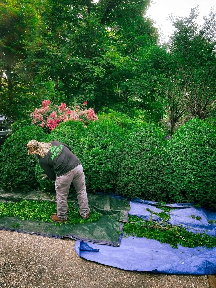 Reliable residential landscaping experts serving Atlanta, GA - Hedges and Edges Landscaping