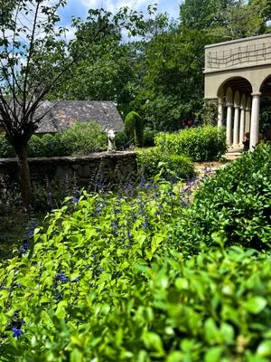 Hedges and Edges Landscaping Logo