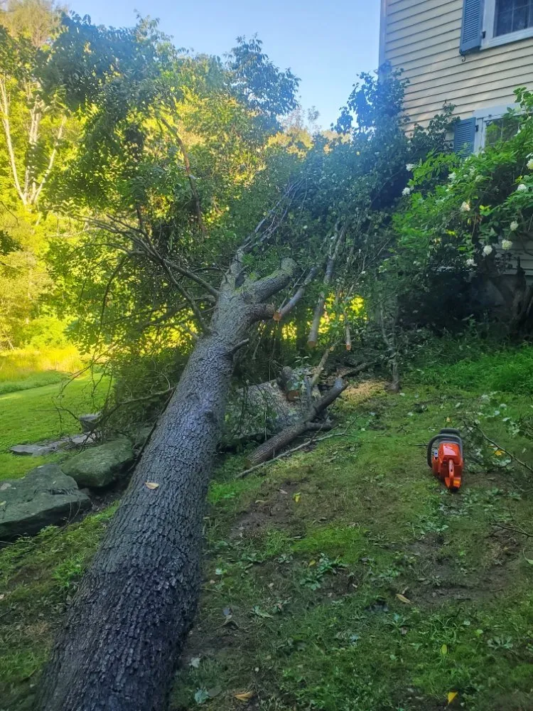 Affordable garden landscaping for homes across New Fairfield, CT - Hedges And Edges Landscaping