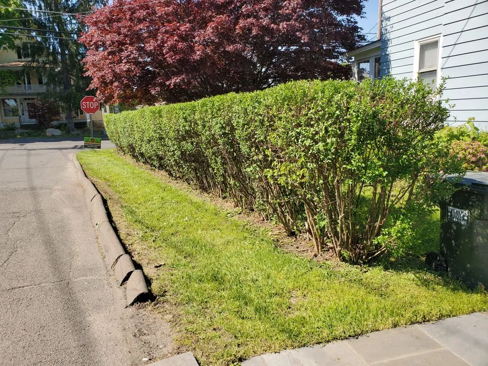 Top-rated landscape installation for beautiful yards across New Fairfield, CT - Hedges And Edges Landscaping