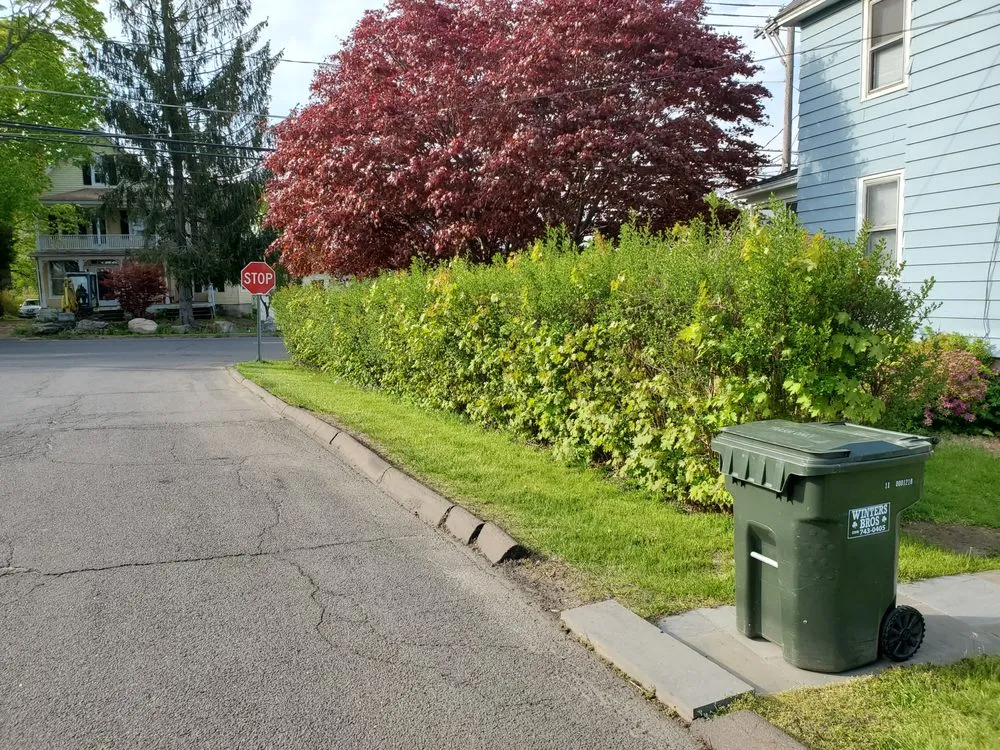 Local yard cleanup service for year-round maintenance across New Fairfield, CT - Hedges And Edges Landscaping
