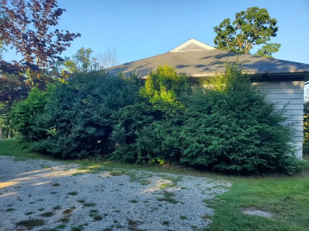 Affordable yard maintenance experts serving New Fairfield, CT - Hedges And Edges Landscaping