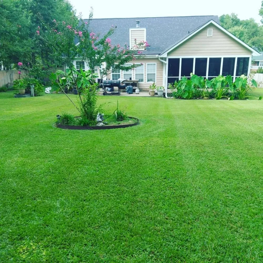 Expert lawn care service in Spring Lake, NC by Hedges and Edges Lawn Care