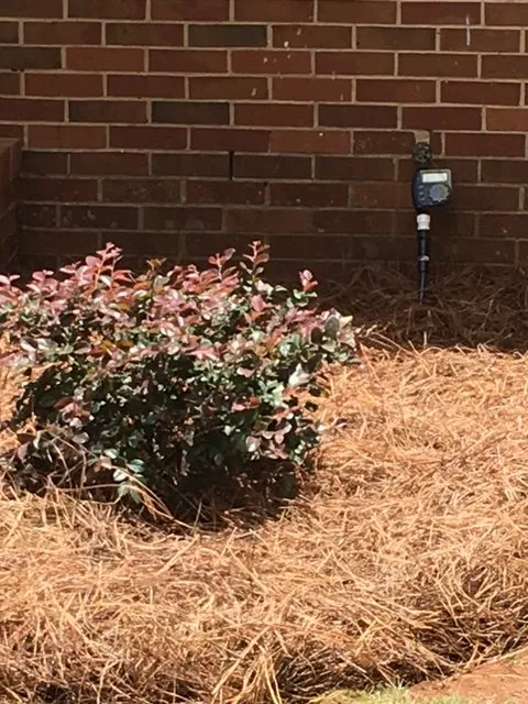 Custom yard maintenance experts serving Athens, GA - Hedges Landscape Group