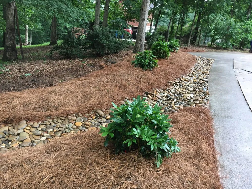 Affordable lawn care service for beautiful yards in Athens, GA by Hedges Landscape Group